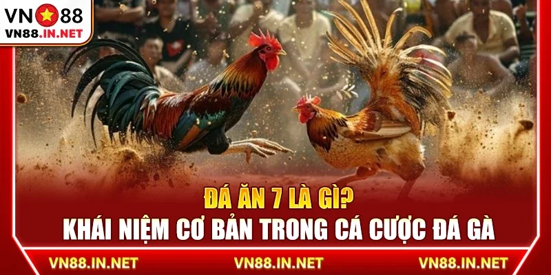 Đá ăn 7 là gì? Khái niệm cơ bản trong cá cược đá gà