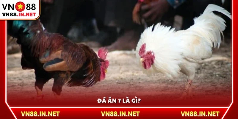 Đá ăn 7 là gì?
