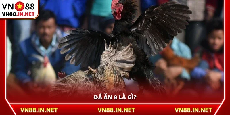 Khái niệm đá ăn 8 là gì?