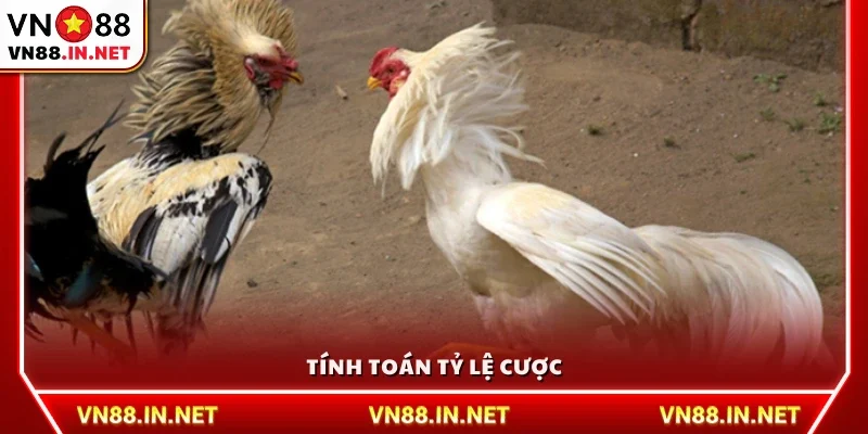 Tính toán tỷ lệ cược