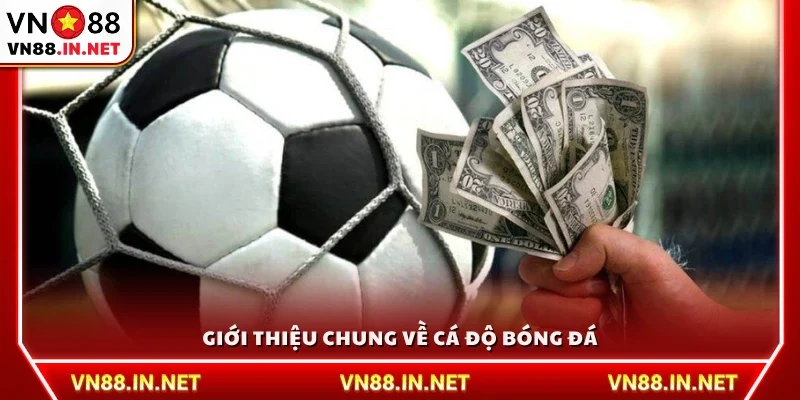 Khái quát chung về trò chơi cá độ bóng đá