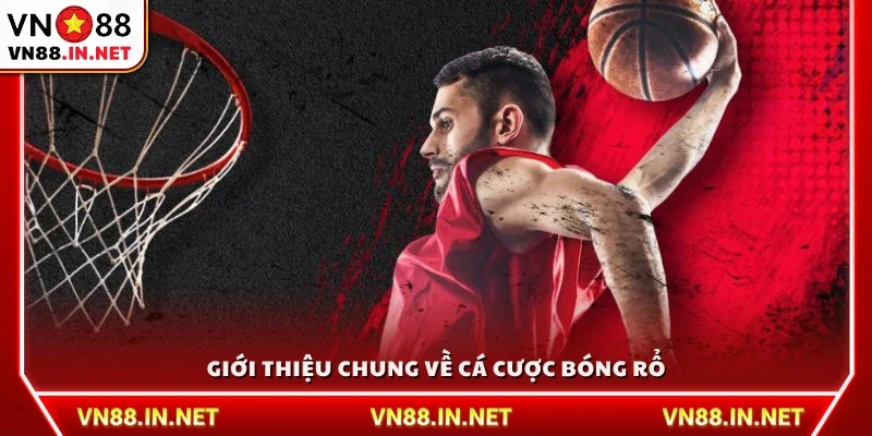 Bao quát về cá cược bóng rổ