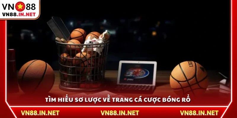 Giới thiệu tổng quan về các trang cá cược bóng rổ