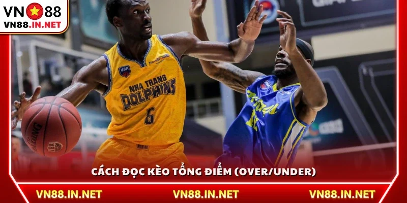 Hướng dẫn đọc tỷ lệ cá cược bóng rổ kèo Tài/Xỉu